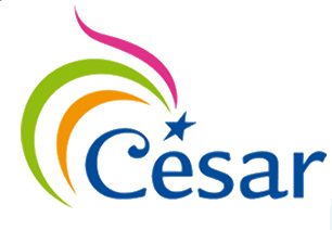 Disposal of American and Asian assets of Cesar group to Jakks Pacific