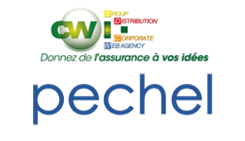 Disposal of CWI to Pechel Industries